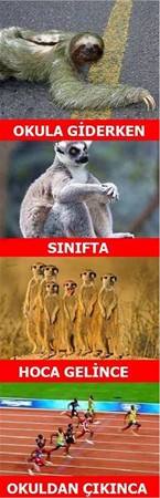 Foto - Okullar açıldı, sosyal medya sallandı!