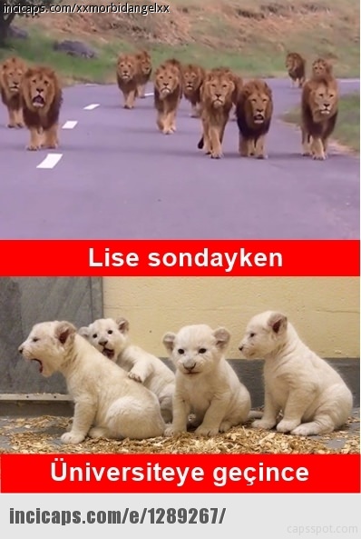 Foto - Okullar açıldı, sosyal medya sallandı!