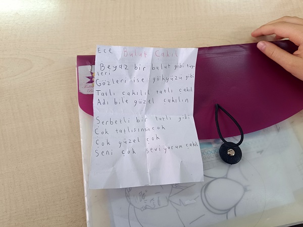 Foto - Okullu kedi Çakıl, dersleri kaçırmıyor