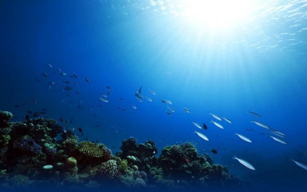 Okyanus hakkında az bilinen 9 ilginç bilgi