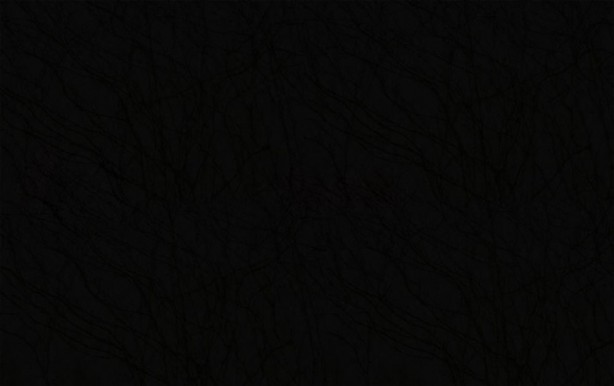 Foto - Okyanus hakkında az bilinen 9 ilginç bilgi