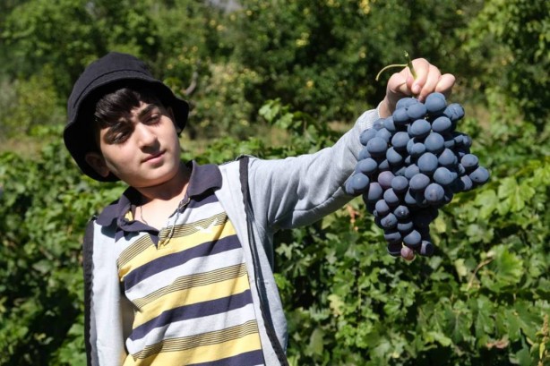 Foto - Olacak iş değil! Bu, küçük çaplı bir mucize! Duyunca şoke olacaksınız 