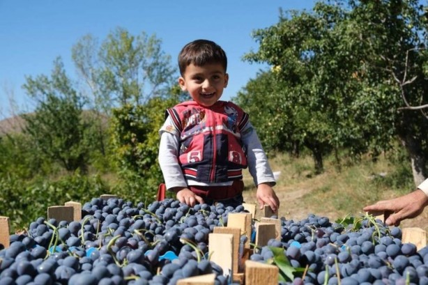 Foto - Olacak iş değil! Bu, küçük çaplı bir mucize! Duyunca şoke olacaksınız 