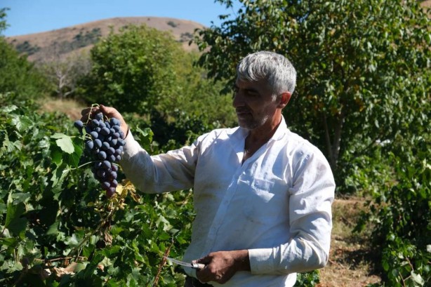 Foto - Olacak iş değil! Bu, küçük çaplı bir mucize! Duyunca şoke olacaksınız 