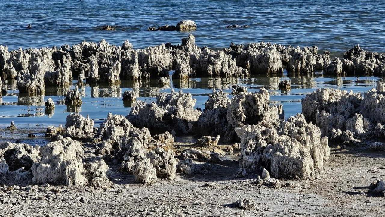 Olacak iş değil! Van Gölü'nde korkutan tablo