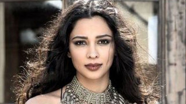 Foto - Olacak şey değil! Rezalet ki ne rezalet! Ünlü oyuncu, "Hamas'a destekten" gözaltına alındı