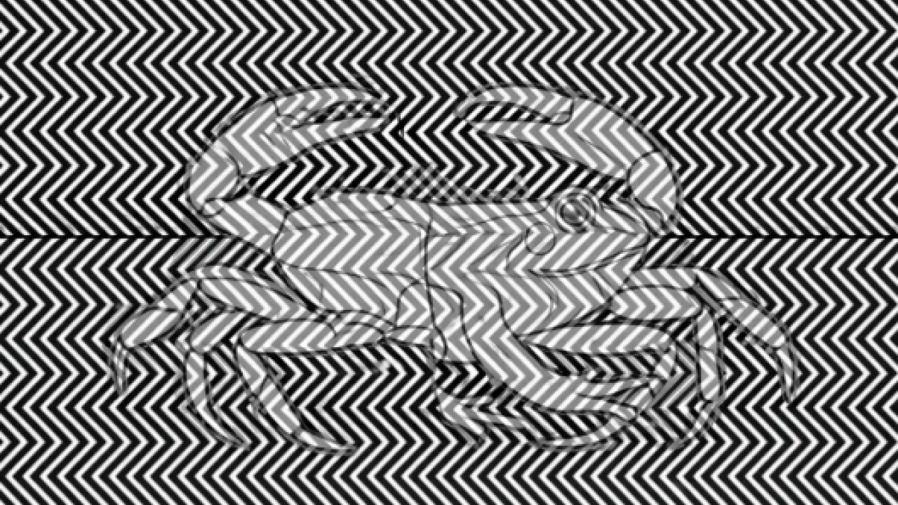 Olay kişilik testi de olabilir! Resimde ilk kurbağa mı yengeç mi gördün? 