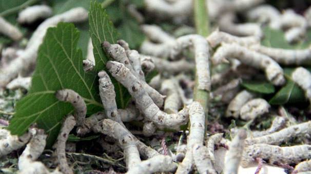 Foto - Olayı duyan evine koşuyor