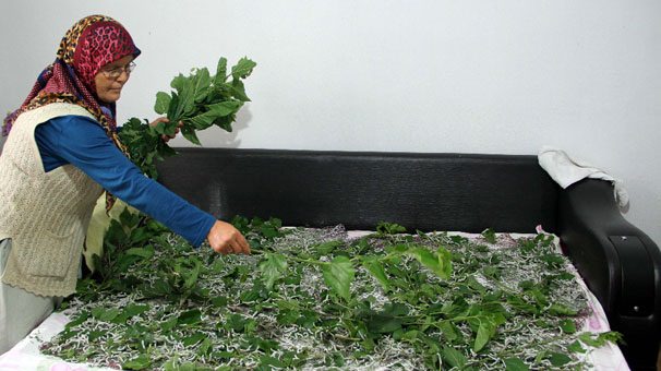 Foto - Olayı duyan evine koşuyor