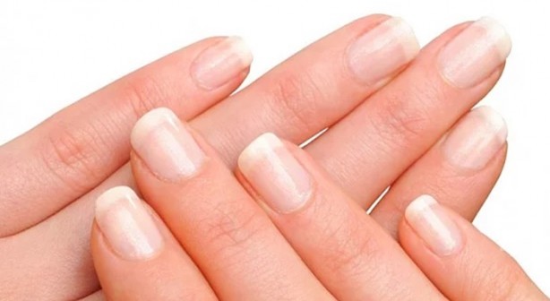 Foto - Öldüğümüz zaman bedenimize bunlar oluyor