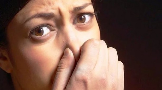 Foto - Öldüğümüz zaman bedenimize bunlar oluyor