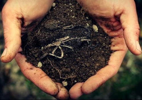 Foto - Öldükten sonra o ses neden çıkıyor?