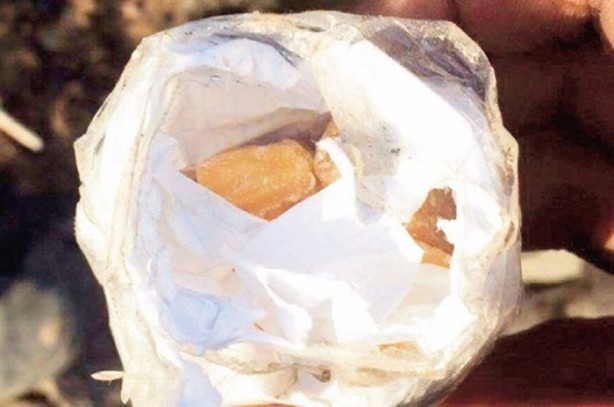 Foto - Öldürülen teröristlerin ceplerinden çıktı!