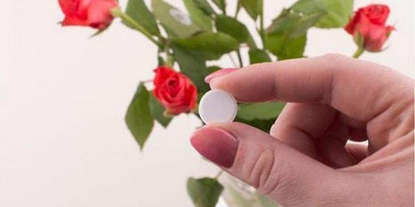 Foto - Ölen çiçeği diriltiyor! Mucize gibi bir şey! Ezip saksıya atın, çiçeğiniz coştukça coşsun