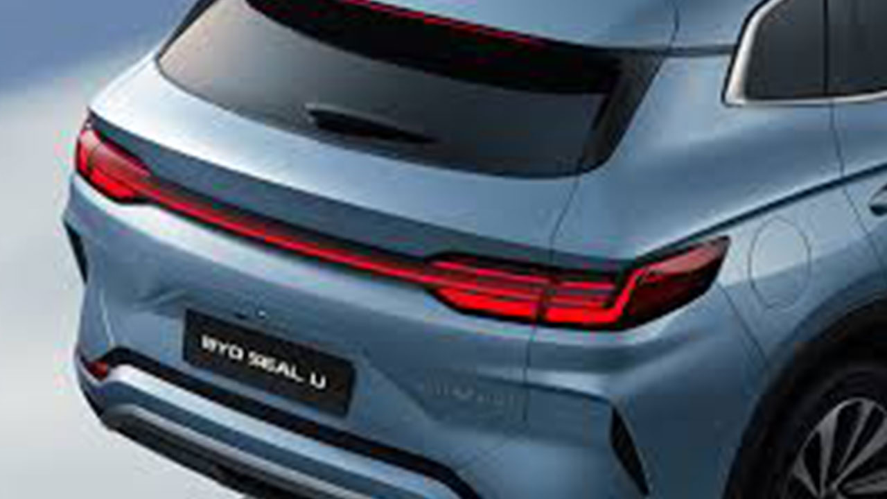 Foto - Olmayacak şey oldu: Herkesi BYD korkusu sardı