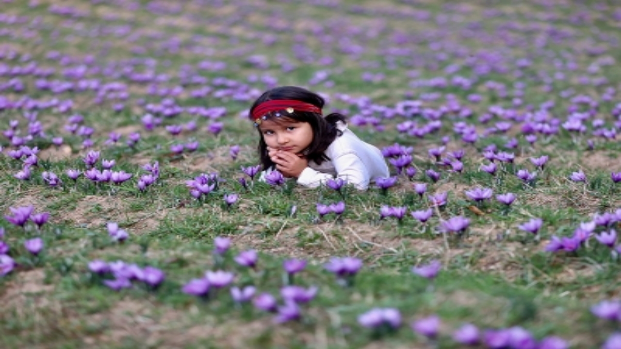 Foto - Olmayacak şey oldu! Kilosu 600 bin TL’ye füze gibi fırlayınca jandarma tarlada nöbet tutmaya başladı