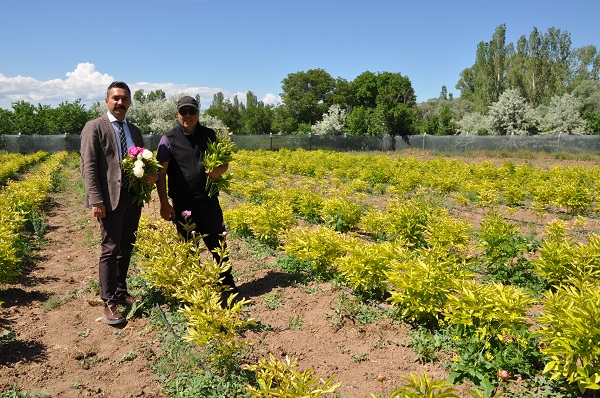 Foto - ‘Olmaz’ denilen şey gerçeğe dönüyor! Hollanda’ya rakip Türk şehri