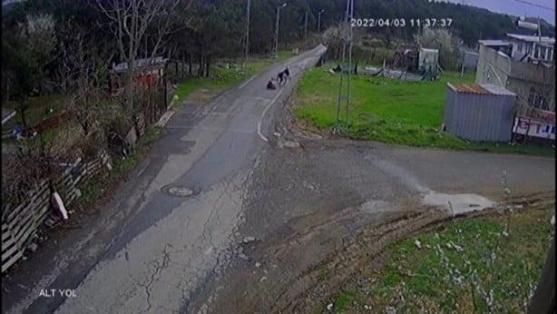 Olmaz olsun böyle evlat! Sultangazi'de akıllara durgunluk veren olay