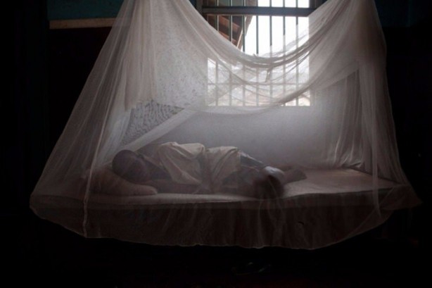 Foto - Ölmek için yalvarıyorlar!