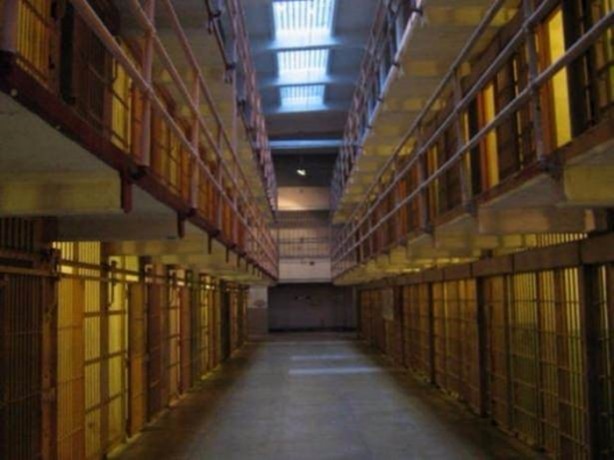 Foto - Ölmek için yalvarıyorlar!