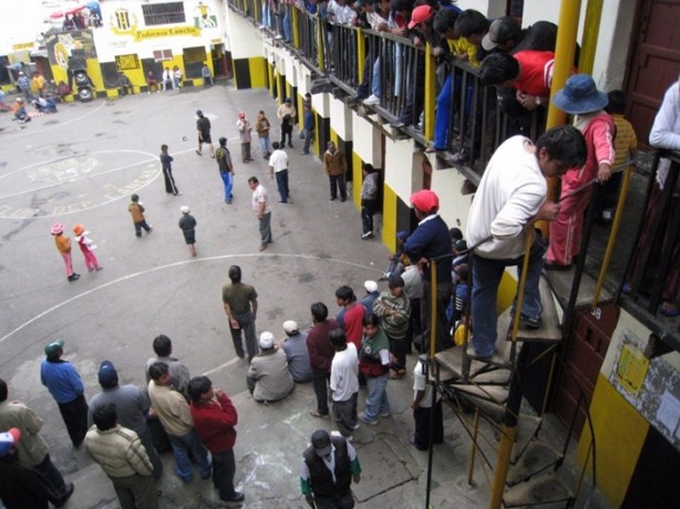 Foto - Ölmek için yalvarıyorlar!