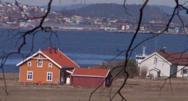 Foto - Ölmek için yalvarıyorlar!