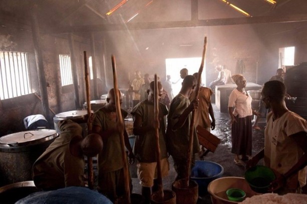 Foto - Ölmek için yalvarıyorlar!