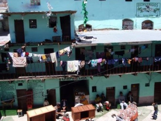 Foto - Ölmek için yalvarıyorlar!