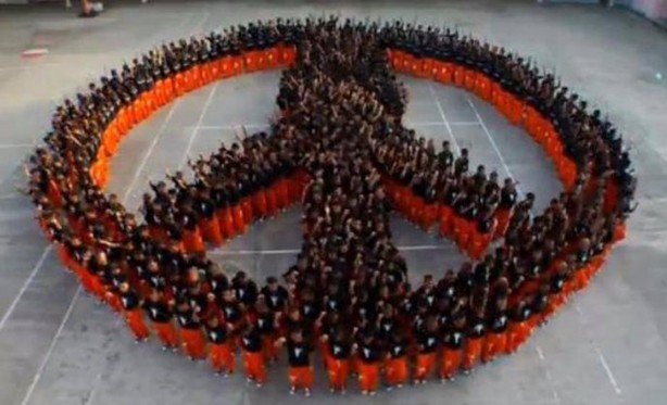 Foto - Ölmek için yalvarıyorlar!