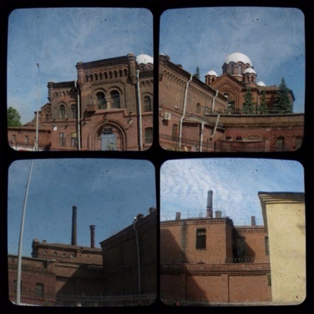 Foto - Ölmek için yalvarıyorlar!