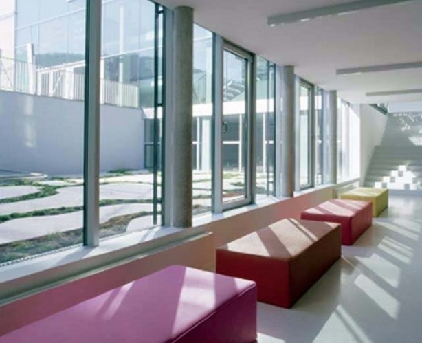 Foto - Ölmek için yalvarıyorlar!