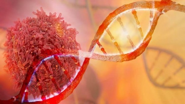 Foto - Ölmek için yarışıyorlar! Mentol topları kapış kapış…