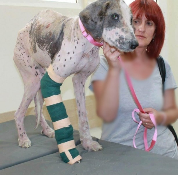 Foto - Ölmek üzereyken kurtardılar!