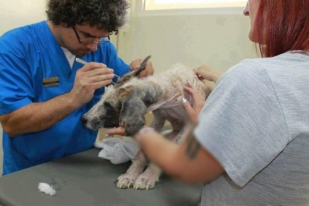 Foto - Ölmek üzereyken kurtardılar!