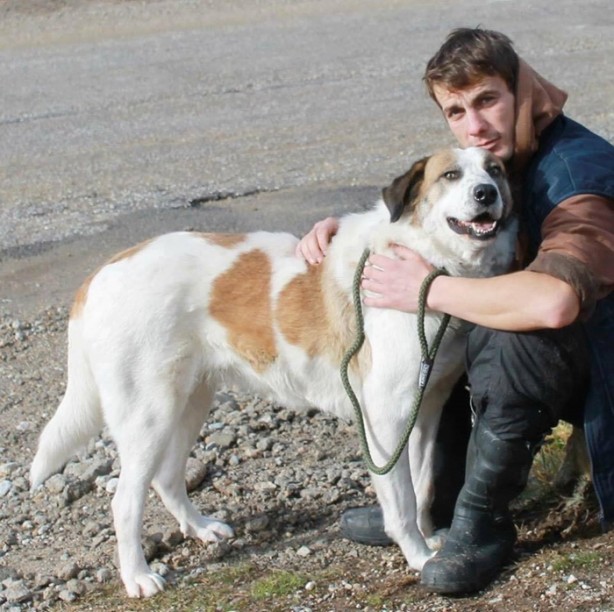 Foto - Ölmek üzereyken kurtardılar!