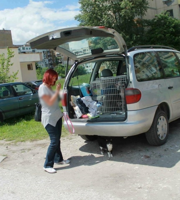 Foto - Ölmek üzereyken kurtardılar!