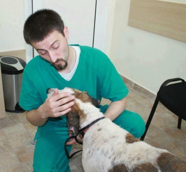 Foto - Ölmek üzereyken kurtardılar!