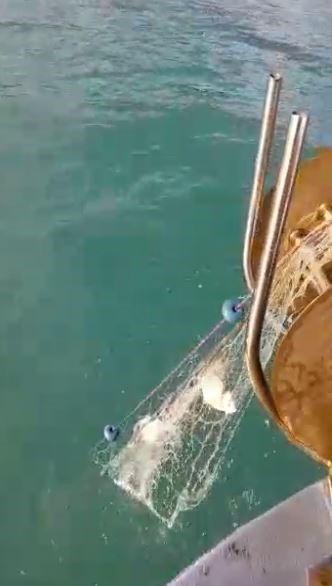 Foto - Oltasını alan sahile koştu | Antalya'da balıklar firar etti!