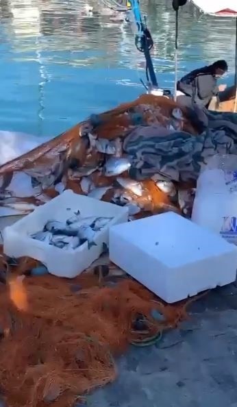 Foto - Oltasını alan sahile koştu | Antalya'da balıklar firar etti!