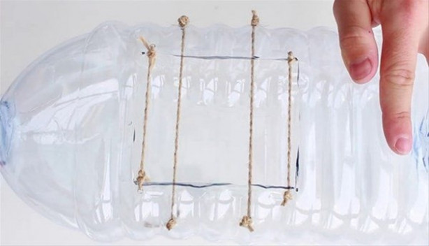 Foto - Oltasız da balık tutmak mümkün! İşte o kolay yöntem...