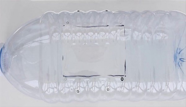 Foto - Oltasız da balık tutmak mümkün! İşte o kolay yöntem...