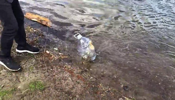 Foto - Oltasız da balık tutmak mümkün! İşte o kolay yöntem...