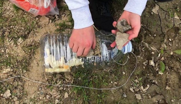 Foto - Oltasız da balık tutmak mümkün! İşte o kolay yöntem...