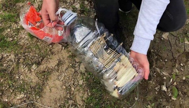 Foto - Oltasız da balık tutmak mümkün! İşte o kolay yöntem...