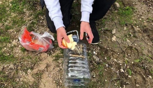 Foto - Oltasız da balık tutmak mümkün! İşte o kolay yöntem...