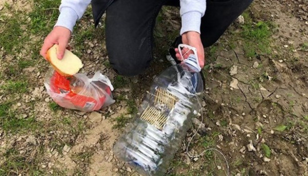 Foto - Oltasız da balık tutmak mümkün! İşte o kolay yöntem...