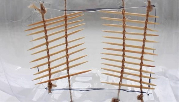 Foto - Oltasız da balık tutmak mümkün! İşte o kolay yöntem...