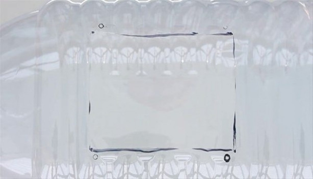 Foto - Oltasız da balık tutmak mümkün! İşte o kolay yöntem...