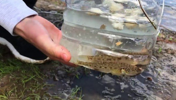 Foto - Oltasız da balık tutmak mümkün! İşte o kolay yöntem...