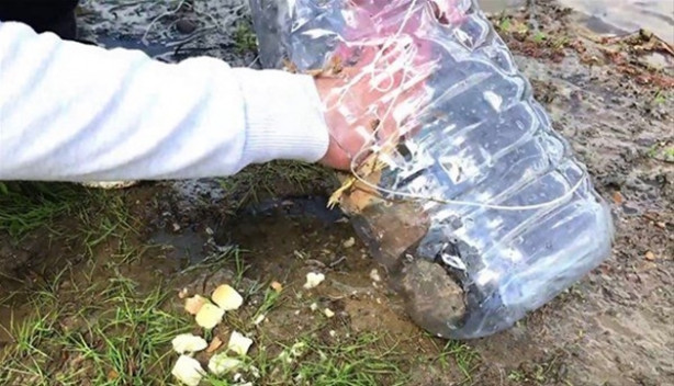 Foto - Oltasız da balık tutmak mümkün! İşte o kolay yöntem...